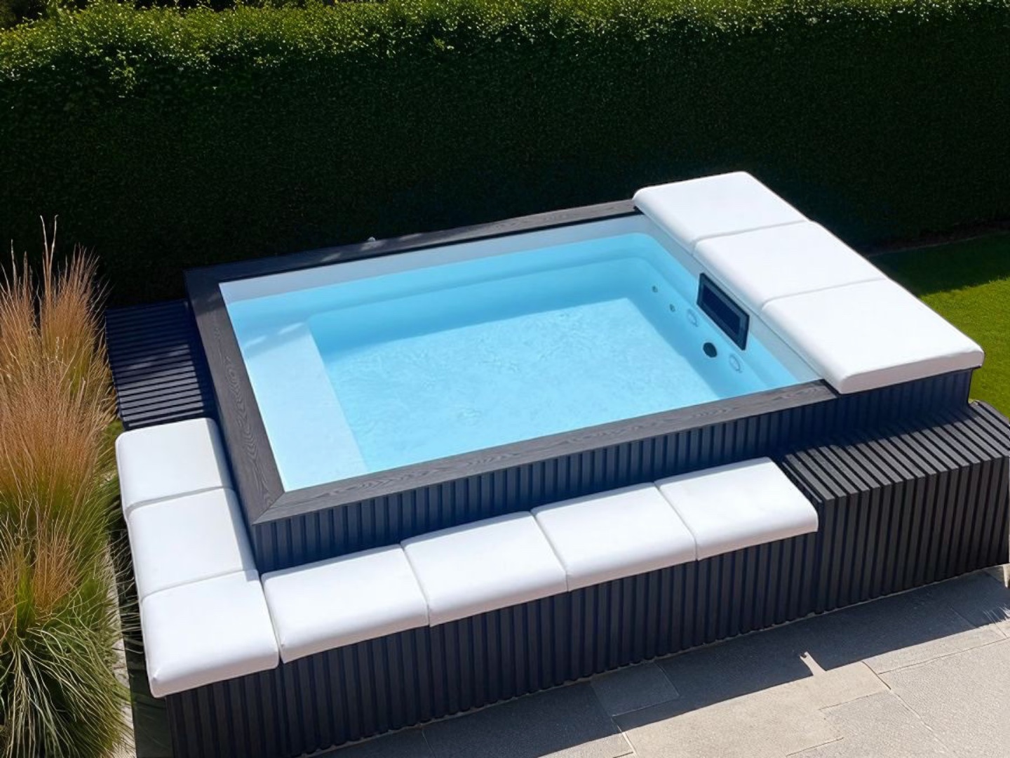 Gold-Pool-Mirage-im-Garten-mit-Graeser-im-Hintergrund.jpg